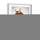Vaca Highland, Pansy - Fab Funky | Cuadro decorativo de Canvas Lab
