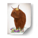 Vaca Highland, Pansy - Fab Funky | Cuadro decorativo de Canvas Lab