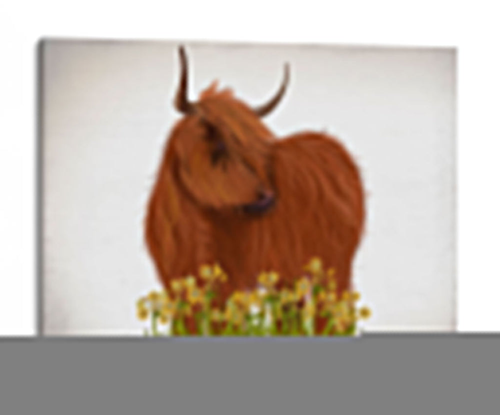 Vaca Highland, Narciso - Fab Funky | Cuadro decorativo de Canvas Lab