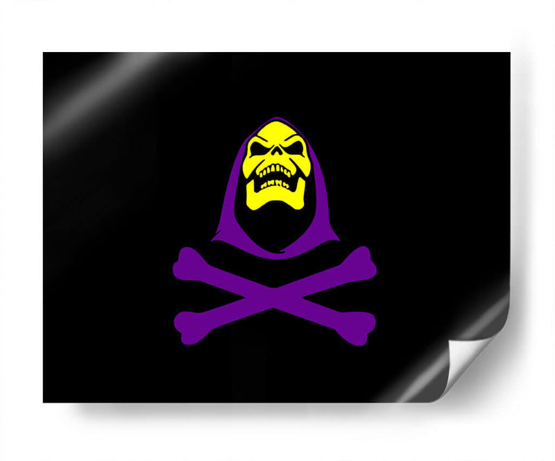 Skeletor Vector | Cuadro decorativo de Canvas Lab