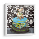 Almohadas De Chihuahua I - Nina Ramos | Cuadro decorativo de Canvas Lab