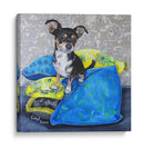 Almohadas De Chihuahua Ii - Nina Ramos | Cuadro decorativo de Canvas Lab