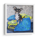 Almohadas De Chihuahua Ii - Nina Ramos | Cuadro decorativo de Canvas Lab