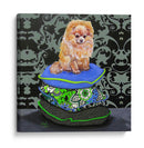 Almohadas Pomeranianas - Nina Ramos | Cuadro decorativo de Canvas Lab