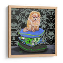 Almohadas Pomeranianas - Nina Ramos | Cuadro decorativo de Canvas Lab