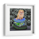 Almohadas Pomeranianas - Nina Ramos | Cuadro decorativo de Canvas Lab