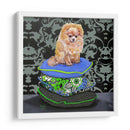 Almohadas Pomeranianas - Nina Ramos | Cuadro decorativo de Canvas Lab