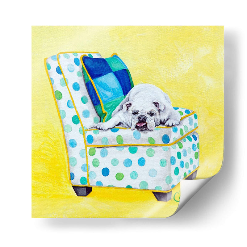 Bulldog En Lunares - Nina Ramos | Cuadro decorativo de Canvas Lab