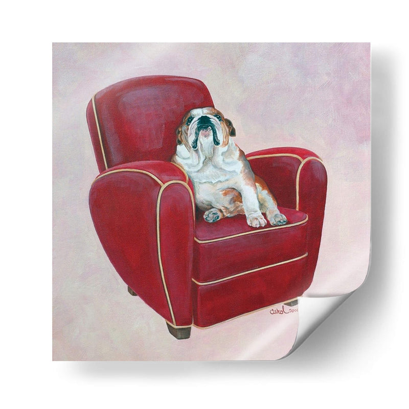 Bulldog En Rojo - Nina Ramos | Cuadro decorativo de Canvas Lab