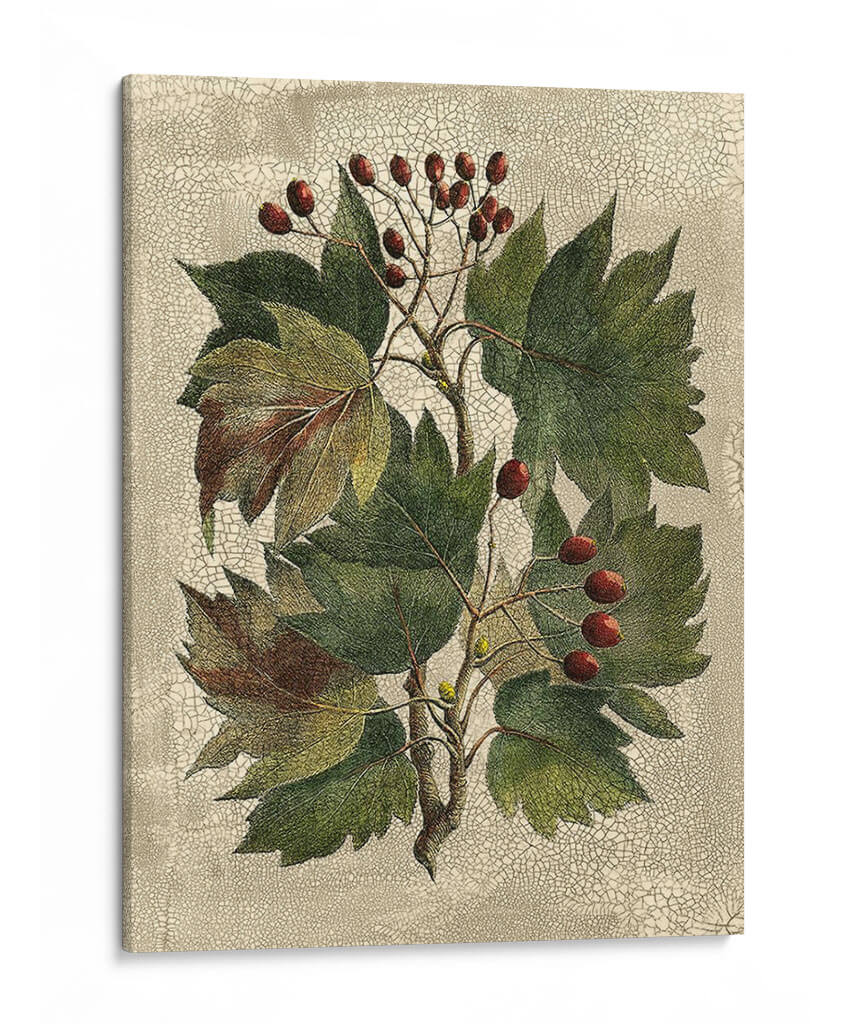 Deshayes Arbol I - Gerard Paul Deshayes | Cuadro decorativo de Canvas Lab