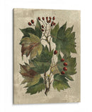Deshayes Arbol I - Gerard Paul Deshayes | Cuadro decorativo de Canvas Lab