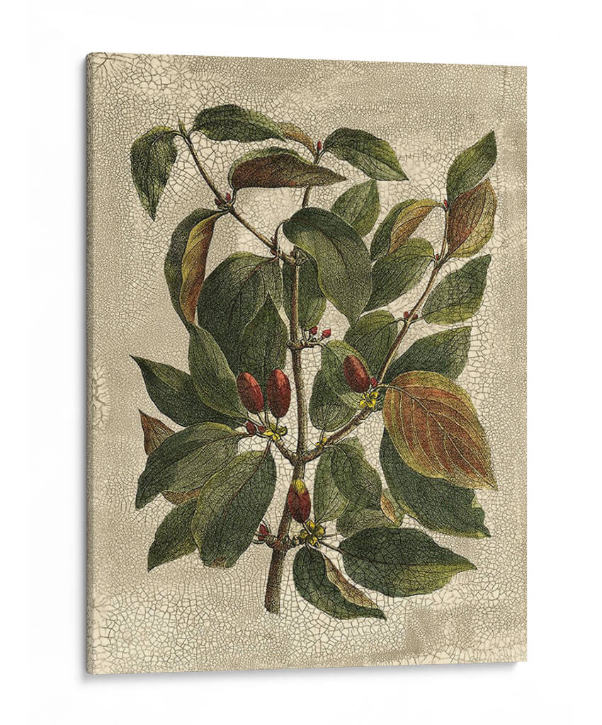 Deshayes Tree Ii - Gerard Paul Deshayes | Cuadro decorativo de Canvas Lab
