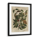 Deshayes Tree Ii - Gerard Paul Deshayes | Cuadro decorativo de Canvas Lab
