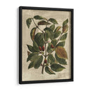Deshayes Tree Ii - Gerard Paul Deshayes | Cuadro decorativo de Canvas Lab