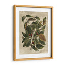 Deshayes Tree Ii - Gerard Paul Deshayes | Cuadro decorativo de Canvas Lab
