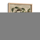 Deshayes Tree Ii - Gerard Paul Deshayes | Cuadro decorativo de Canvas Lab