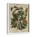 Deshayes Tree Ii - Gerard Paul Deshayes | Cuadro decorativo de Canvas Lab