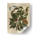 Deshayes Tree Ii - Gerard Paul Deshayes | Cuadro decorativo de Canvas Lab