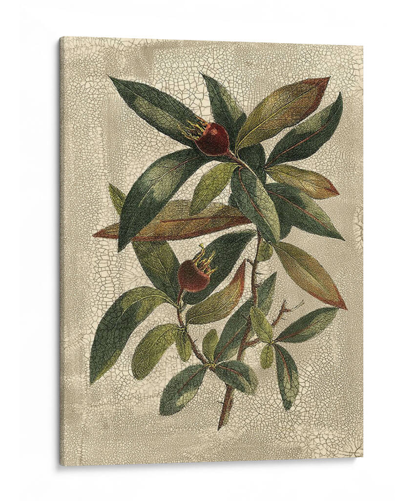 Deshayes Tree Iii - Gerard Paul Deshayes | Cuadro decorativo de Canvas Lab
