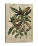 Deshayes Tree Iii - Gerard Paul Deshayes | Cuadro decorativo de Canvas Lab