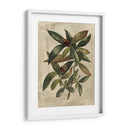 Deshayes Tree Iii - Gerard Paul Deshayes | Cuadro decorativo de Canvas Lab