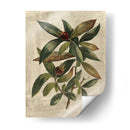 Deshayes Tree Iii - Gerard Paul Deshayes | Cuadro decorativo de Canvas Lab