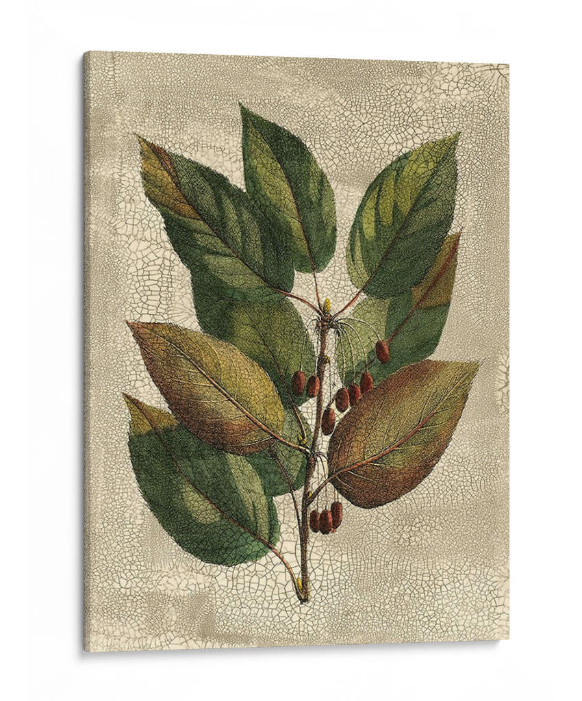 Deshayes Tree Iv - Gerard Paul Deshayes | Cuadro decorativo de Canvas Lab