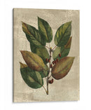 Deshayes Tree Iv - Gerard Paul Deshayes | Cuadro decorativo de Canvas Lab