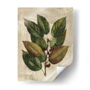 Deshayes Tree Iv - Gerard Paul Deshayes | Cuadro decorativo de Canvas Lab