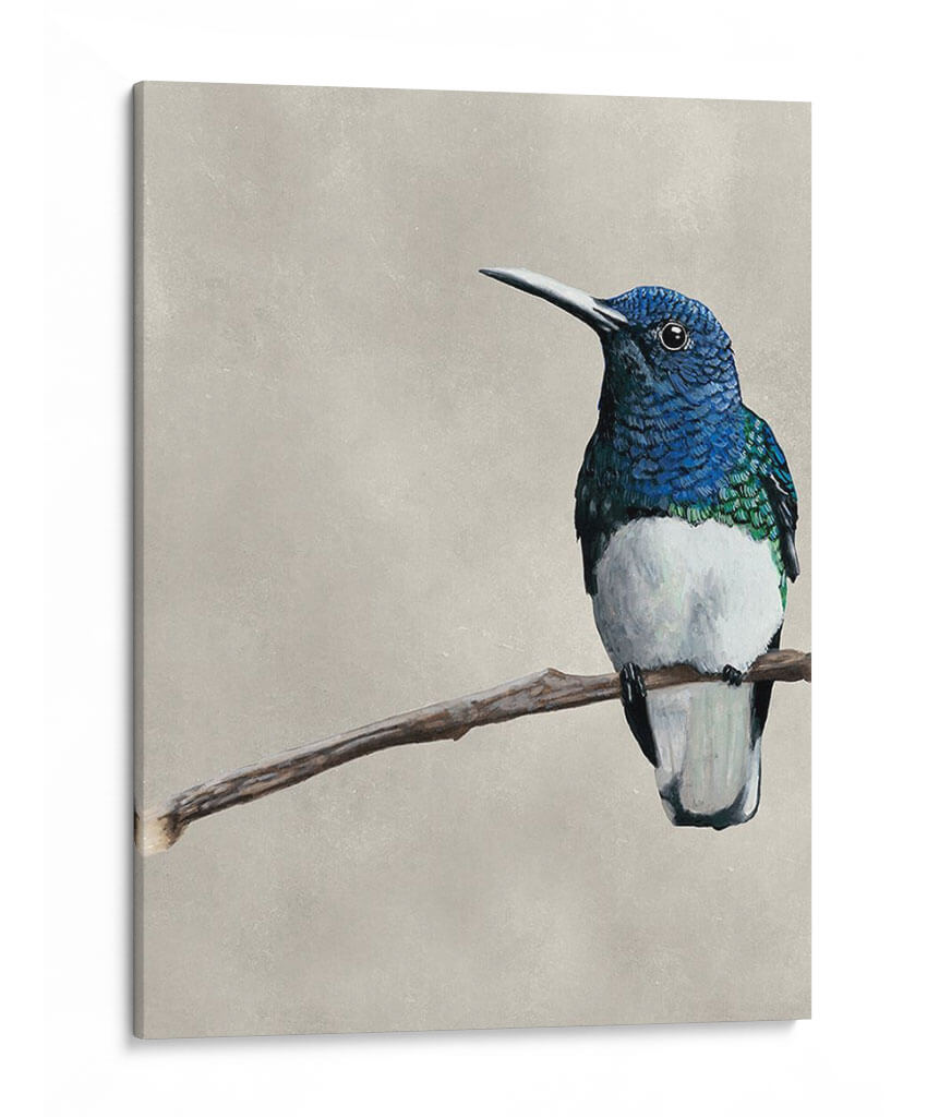 Belleza Alada Ii - Naomi McCavitt | Cuadro decorativo de Canvas Lab