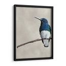Belleza Alada Ii - Naomi McCavitt | Cuadro decorativo de Canvas Lab