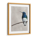 Belleza Alada Ii - Naomi McCavitt | Cuadro decorativo de Canvas Lab