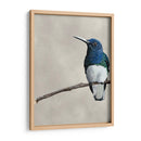 Belleza Alada Ii - Naomi McCavitt | Cuadro decorativo de Canvas Lab