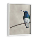 Belleza Alada Ii - Naomi McCavitt | Cuadro decorativo de Canvas Lab