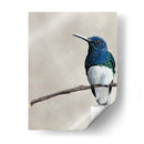 Belleza Alada Ii - Naomi McCavitt | Cuadro decorativo de Canvas Lab