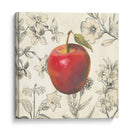 Apple Y Botánicos - Megan Meagher | Cuadro decorativo de Canvas Lab