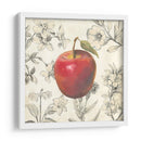 Apple Y Botánicos - Megan Meagher | Cuadro decorativo de Canvas Lab