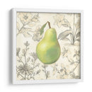 Pera Y Botánicos - Megan Meagher | Cuadro decorativo de Canvas Lab