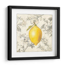 Limón Y Botánicos - Megan Meagher | Cuadro decorativo de Canvas Lab