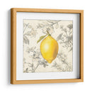 Limón Y Botánicos - Megan Meagher | Cuadro decorativo de Canvas Lab