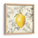 Limón Y Botánicos - Megan Meagher | Cuadro decorativo de Canvas Lab