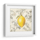 Limón Y Botánicos - Megan Meagher | Cuadro decorativo de Canvas Lab