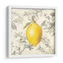 Limón Y Botánicos - Megan Meagher | Cuadro decorativo de Canvas Lab