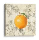 Naranja Y Botánicos - Megan Meagher | Cuadro decorativo de Canvas Lab