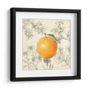 Naranja Y Botánicos - Megan Meagher | Cuadro decorativo de Canvas Lab