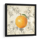 Naranja Y Botánicos - Megan Meagher | Cuadro decorativo de Canvas Lab