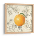 Naranja Y Botánicos - Megan Meagher | Cuadro decorativo de Canvas Lab