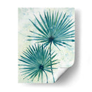 Hojas De Palma Ii - Tim OToole | Cuadro decorativo de Canvas Lab