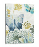 Concierto De Mariposa Ii - June Erica Vess | Cuadro decorativo de Canvas Lab