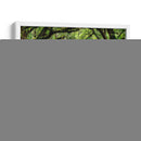 Canopy Road Iv - James McLoughlin | Cuadro decorativo de Canvas Lab